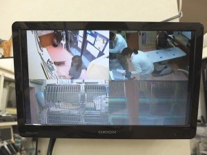 横浜 金沢区の動物病院 マーサ動物病院 医療設備 監視モニター