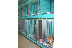 横浜 金沢区の動物病院 マーサ動物病院 医療設備 預かり用ケージ