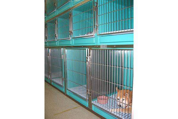 横浜 金沢区の動物病院 マーサ動物病院 医療設備 預かり用ケージ