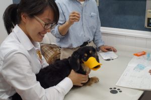 横浜 金沢区の動物病院 マーサ動物病院 本院