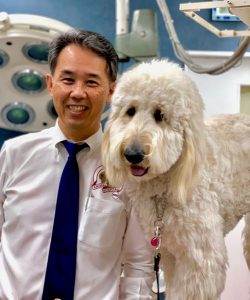 横浜 金沢区の動物病院 マーサ動物病院