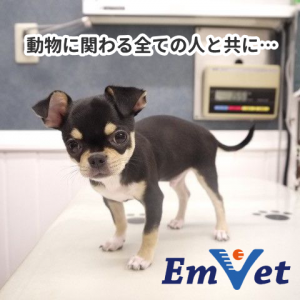 マーサ動物病院 emvet エンベット